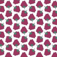 Pattern of raspberries vector