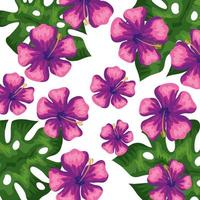 background of flowers of purple color with leafs tropical vector