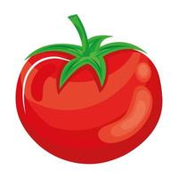 fresh tomato vegetable healthy food vector