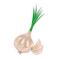 fresh vegetable garlic healthy food icon