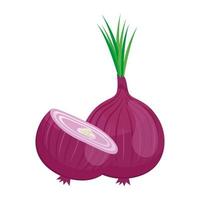 fresh vegetable purple onion healthy food icon vector