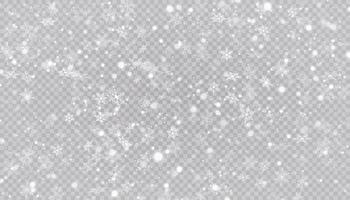 White snow flakes on a transparent background. vector