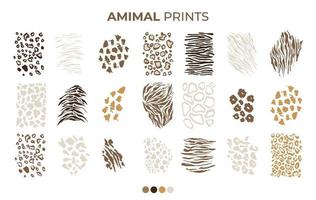 Tiger, Leopard, Tiger, Jaguar Skin Print Patterns vector