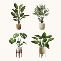 watercolor hand drawn plant illustration set vector