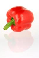 Red bell pepper isolated on white background photo