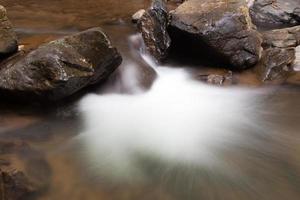 Stream in the forest photo