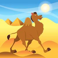 Cartoon Camel Walking In Sahara Desert vector