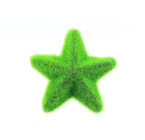 Green fuzzy star photo