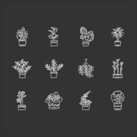 Houseplants chalk white icons set on black background. Indoor plants. Home decor. Ficus, monstera, african violet, bamboo. Peace lily, pothos, parlor palm. Isolated vector chalkboard illustrations