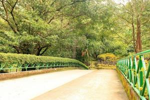 puente peatonal rodeado de árboles foto