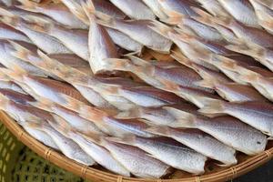 Group of dried fish photo