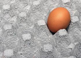 Brown egg in crate photo