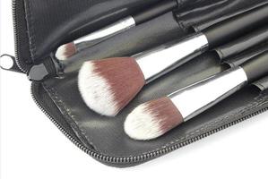 Makeup brushes in black bag photo