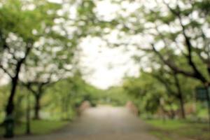 Blurry tree tunnel photo