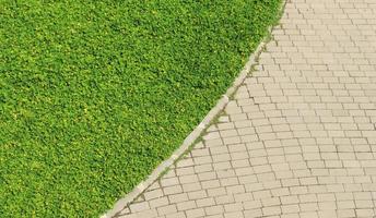 Brick path and grass photo