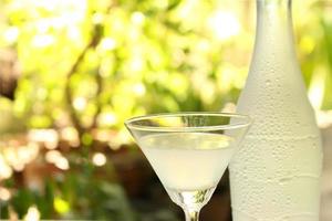 Martini glass and bottle photo