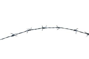 Barbed wire on white background photo