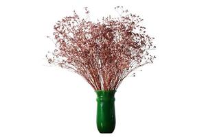 Dried flowers in vase photo