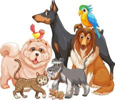 Group of pet on white background vector