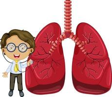 pulmones con un personaje de dibujos animados médico vector