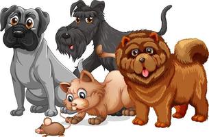 perro y gato en un personaje de dibujos animados de grupo vector