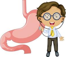 Stomach with a doctor cartoon character vector