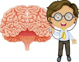 Big brain with a doctor cartoon character vector