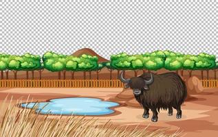 Yak in nature landscape transparant scene vector