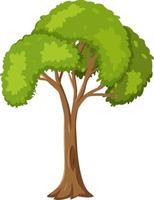 árbol aislado sobre fondo blanco vector