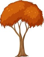 Isolated autumn tree on white background vector