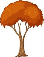 Árbol de otoño aislado sobre fondo blanco. vector