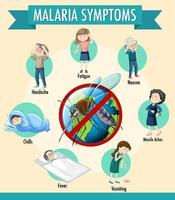infografía de información de síntomas de malaria vector