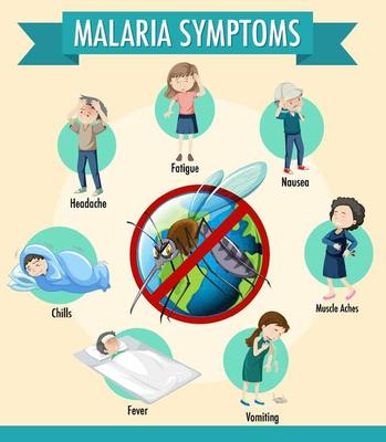 Malaria symptom information infographic