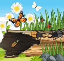 Many different insects in the garden scene vector