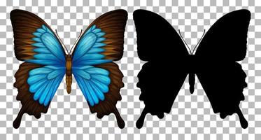 Butterfly and its silhouette on transparent background vector