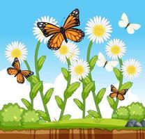 Many butterflies with many flowers in the garden scene vector