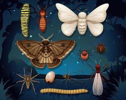 Set of different insects isolated vector