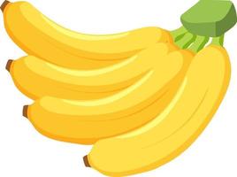 racimo de plátanos aislado sobre fondo blanco vector