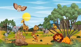 Many different animals in the forest scene vector