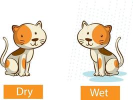 Opposite adjectives words with dry and wet vector