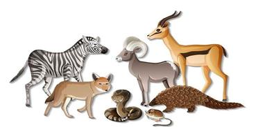 Group of wild African animals on white background vector