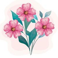 flowers pink with leaves painting vector design