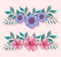 flowers purple and pink with leaves painting vector design