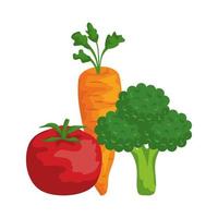fresh vegetables healthy food icons vector