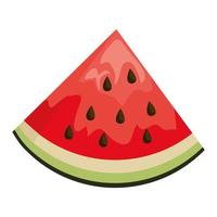 fresh watermelon fruit healthy food vector