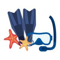 diving snorkel mask and fins with starfish vector