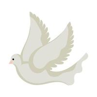 beautiful dove bird flying icon vector