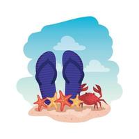 summer flip flops and crab with starfish vector