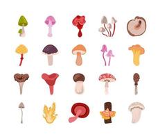 Fungus and mushroom icon set vector