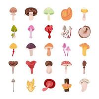 conjunto de iconos de hongos y setas vector
